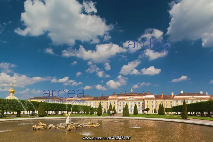 : Russia, Saint Petersburg, Peterhof, Grand : Russia, Saint Petersburg, Peterhof, Grand