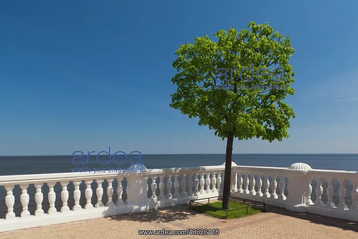 : Russia, Saint Petersburg, Peterhof, Gulf : Russia, Saint Petersburg, Peterhof, Gulf