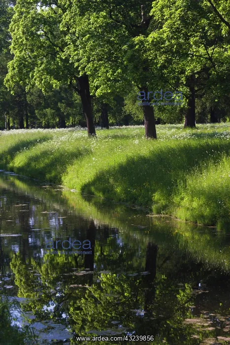 : Russia, Saint Petersburg, Pushkin-Tsarskoye : Russia, Saint Petersburg, Pushkin-Tsarskoye