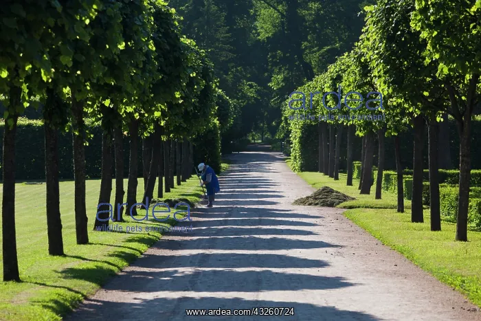 : Russia, Saint Petersburg, Pushkin-Tsarskoye : Russia, Saint Petersburg, Pushkin-Tsarskoye