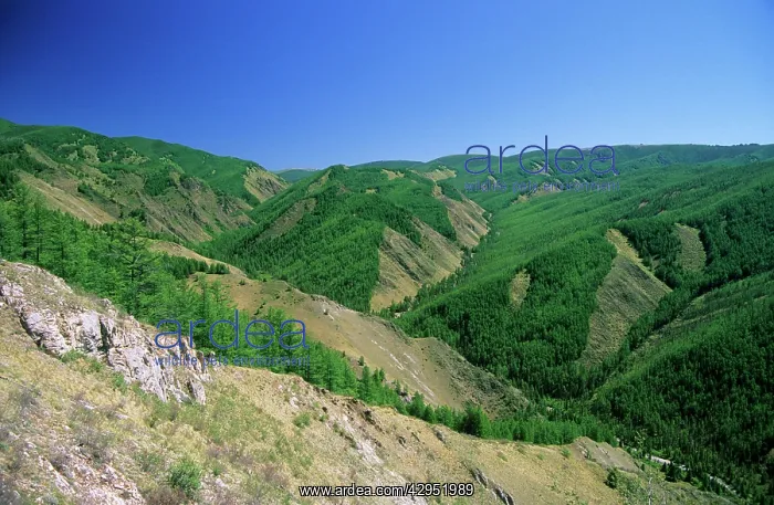: Russia - Sengilen mountain range slopes : Russia - Sengilen mountain range slopes