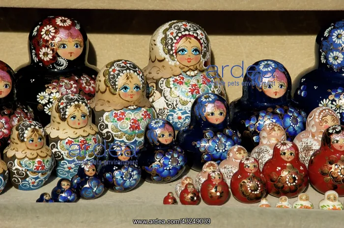 : Russia, St. Petersburg, Matryoshka dolls : Russia, St. Petersburg, Matryoshka dolls