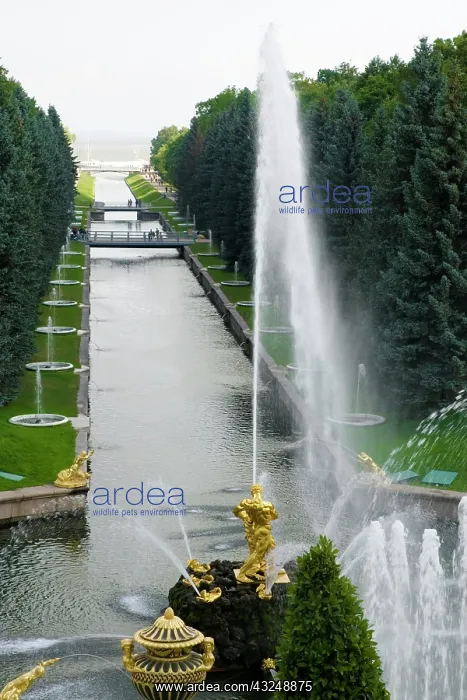 : Russia, St. Petersburg. Samson fountain : Russia, St. Petersburg. Samson fountain