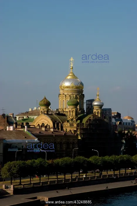 : Russia, St. Petersburg. View of city from : Russia, St. Petersburg. View of city from
