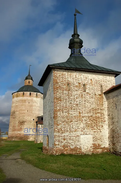 : Russia, Vologda, Goritzy, Kirillov-Belozersky : Russia, Vologda, Goritzy, Kirillov-Belozersky