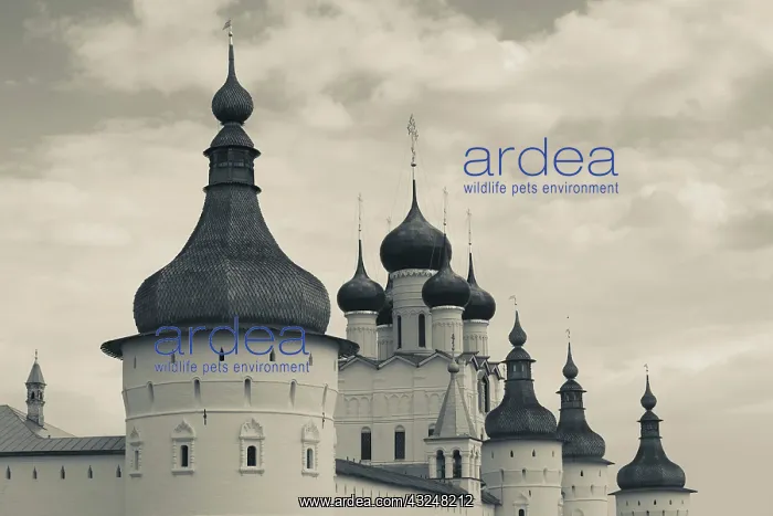 : Russia, Yaroslavl Oblast, Golden Ring, Rostov-Veliky : Russia, Yaroslavl Oblast, Golden Ring, Rostov-Veliky