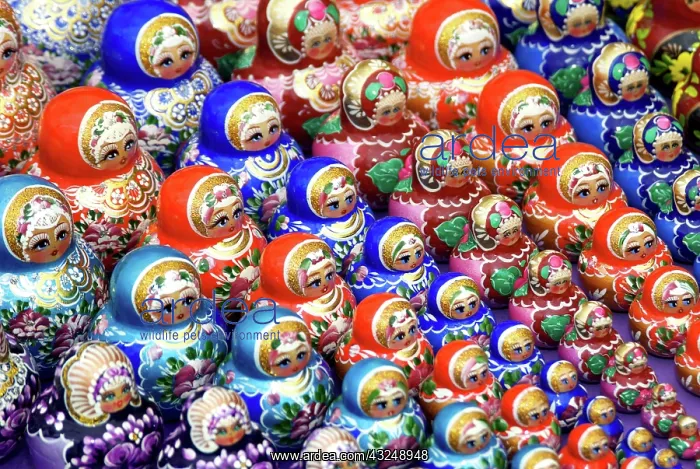 : Russia, Yaroslavl, Uglich, Matryoshka dolls : Russia, Yaroslavl, Uglich, Matryoshka dolls