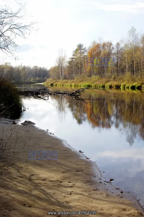 : Russian Desman - habitat : Russian Desman - habitat