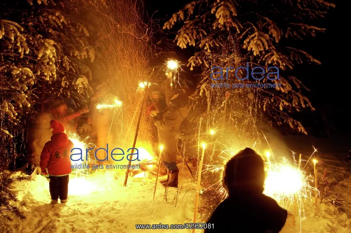: A Russian family celebrates New Year by a bonfire : A Russian family celebrates New Year by a bonfire