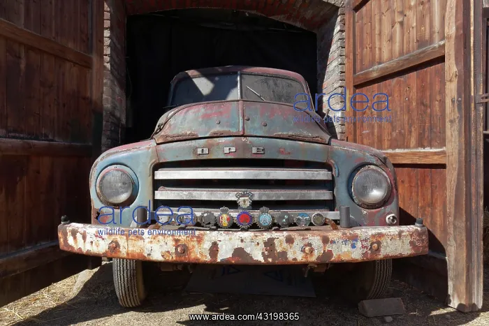 : Rusted vintage Opel Blitz 1960, in opening of a : Rusted vintage Opel Blitz 1960, in opening of a