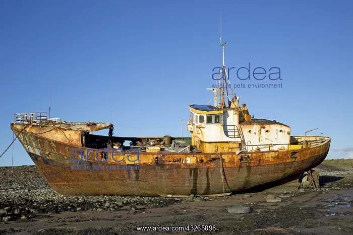 : Rusty Belgian trawler Vita Nova abandoned on beach : Rusty Belgian trawler Vita Nova abandoned on beach