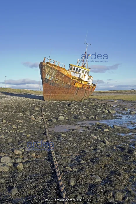  : Rusty Belgian trawler Vita Nova abandoned on beach