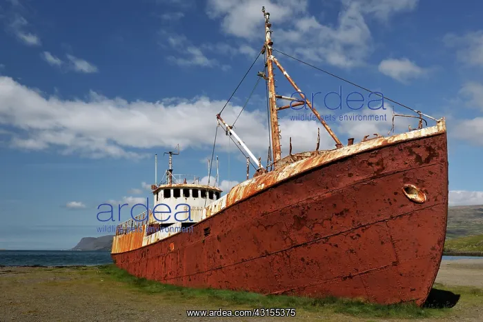 : Rusty boat run aground : Rusty boat run aground