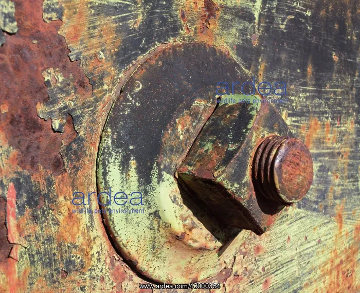 : Rusty bolt and weathered colours at a wagon in : Rusty bolt and weathered colours at a wagon in