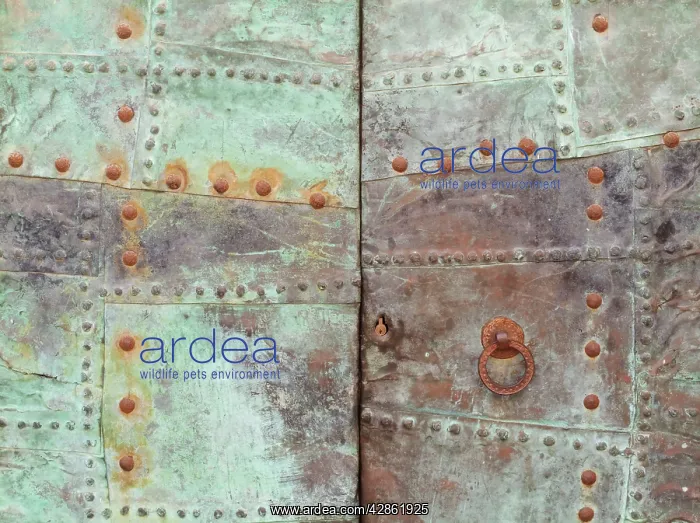 : Rusty iron door - Fornalutx : Rusty iron door - Fornalutx