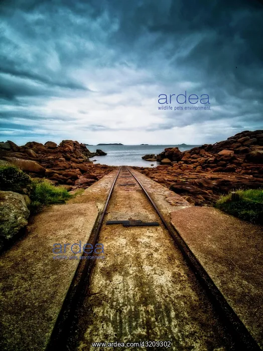 : Rusty tracks into the sea, lifeboat station, fishing : Rusty tracks into the sea, lifeboat station, fishing