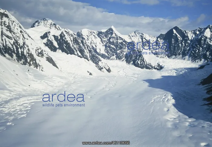 : Ruth Glacier : Ruth Glacier