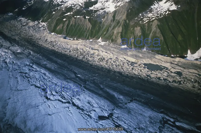 : Ruth Glacier : Ruth Glacier