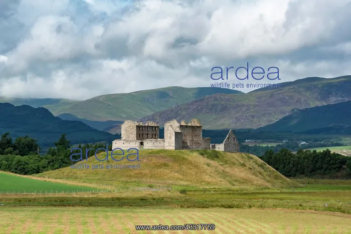 : Ruthven Barracks at Kingussie, Badenoch District : Ruthven Barracks at Kingussie, Badenoch District
