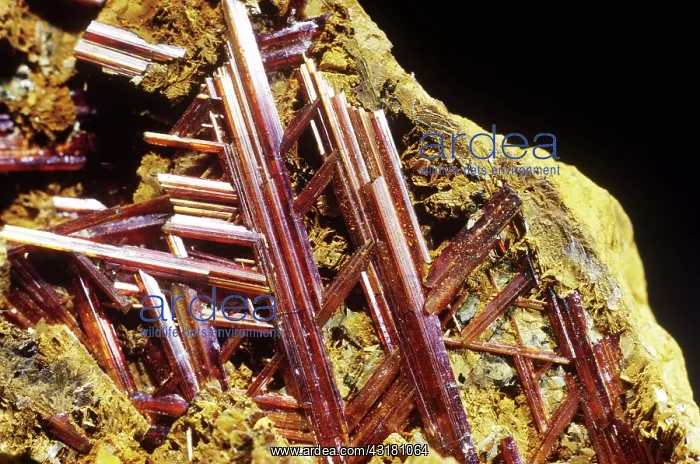 : Rutile from Boiling Springs, North Carolina : Rutile from Boiling Springs, North Carolina
