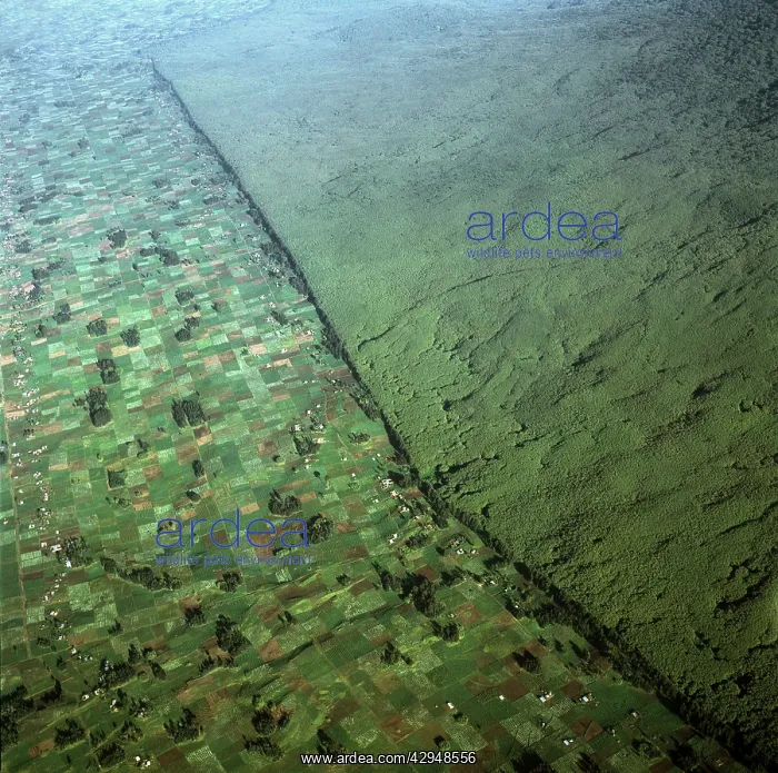 : Rwanda - Aerial view of Africa : Rwanda - Aerial view of Africa