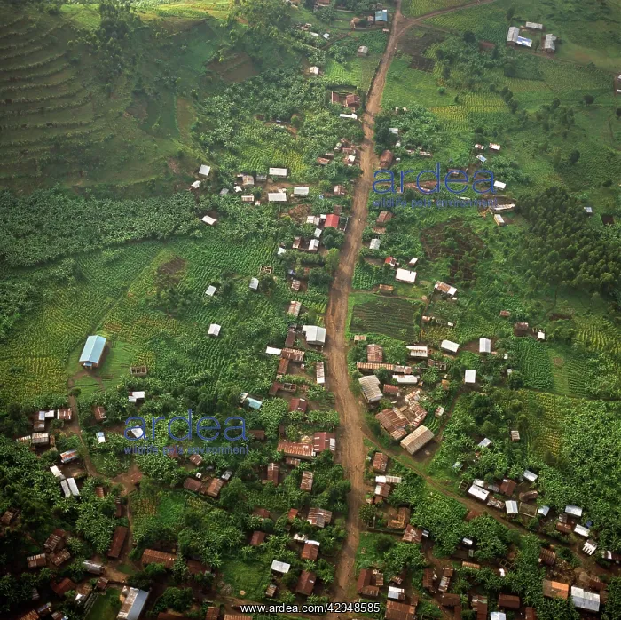 : Rwanda - Aerial view of Africa, Intensive agriculture : Rwanda - Aerial view of Africa, Intensive agriculture