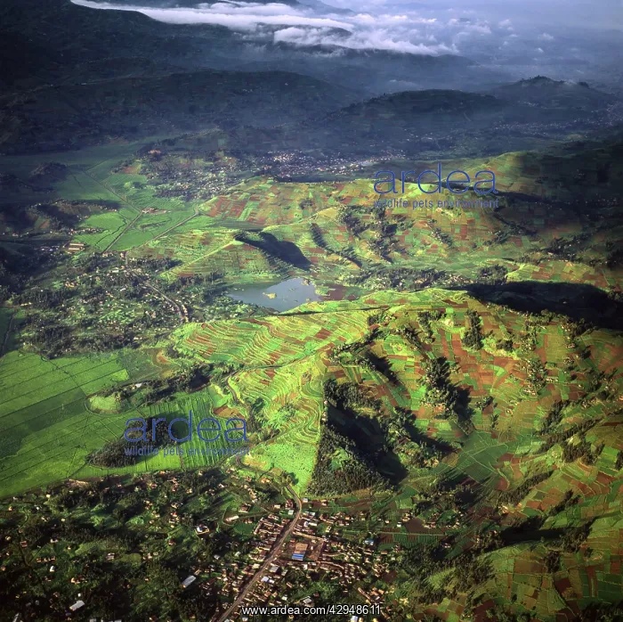 : Rwanda - Aerial view of Africa, Intensive agriculture : Rwanda - Aerial view of Africa, Intensive agriculture
