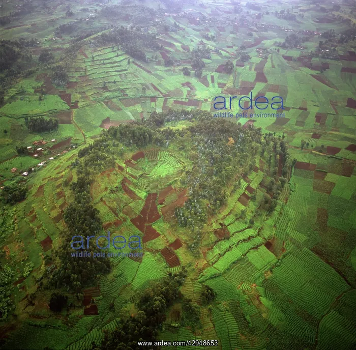  : Rwanda - Aerial view of Africa, Intensive agriculture