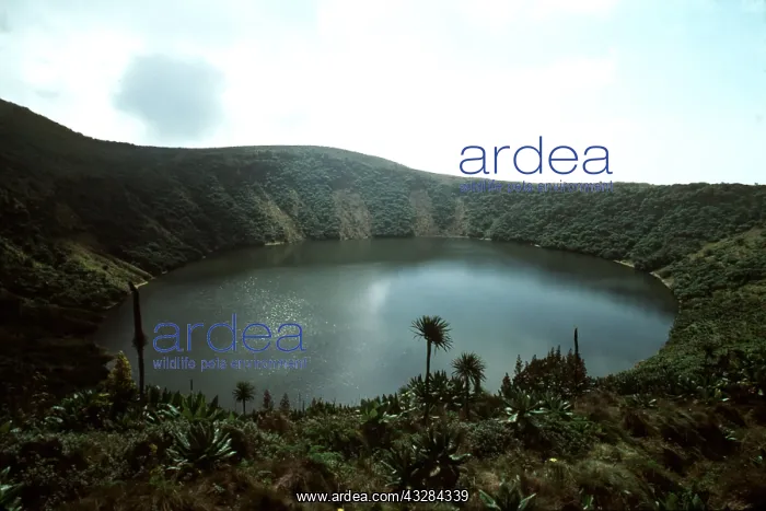 : RWANDA - Mt. Visoke crater Lake, Rwanda : RWANDA - Mt. Visoke crater Lake, Rwanda