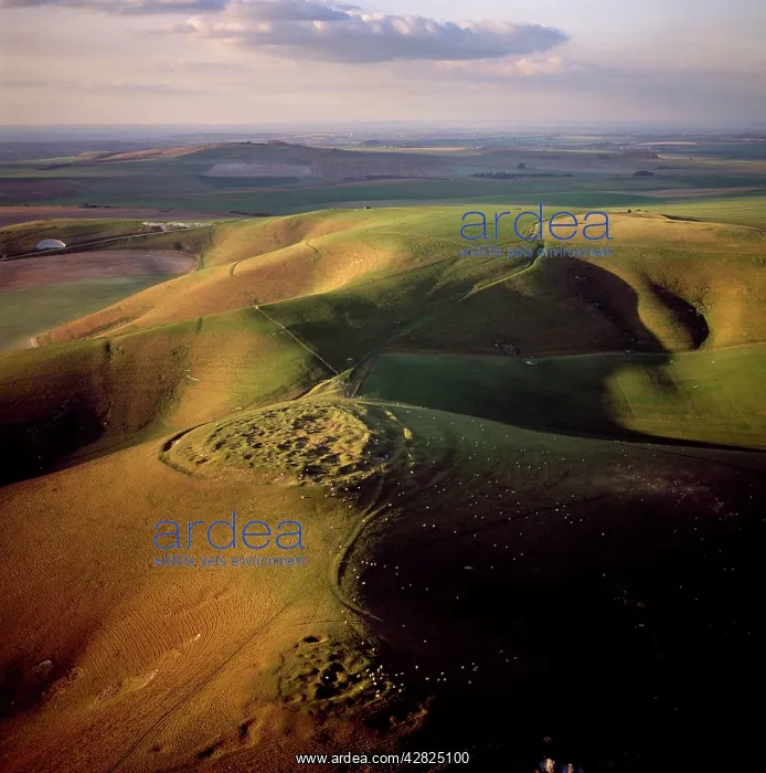: Rybury Camp, an Iron Age hill fort with Neolithic : Rybury Camp, an Iron Age hill fort with Neolithic