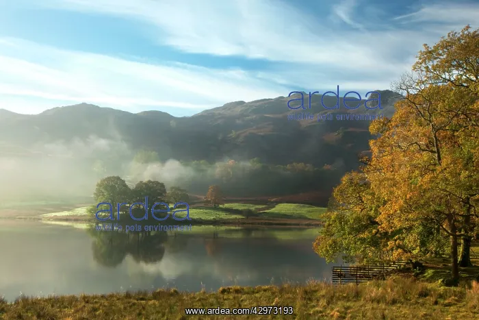 : Rydal Water on a beautiful calm autumn's morning : Rydal Water on a beautiful calm autumn's morning