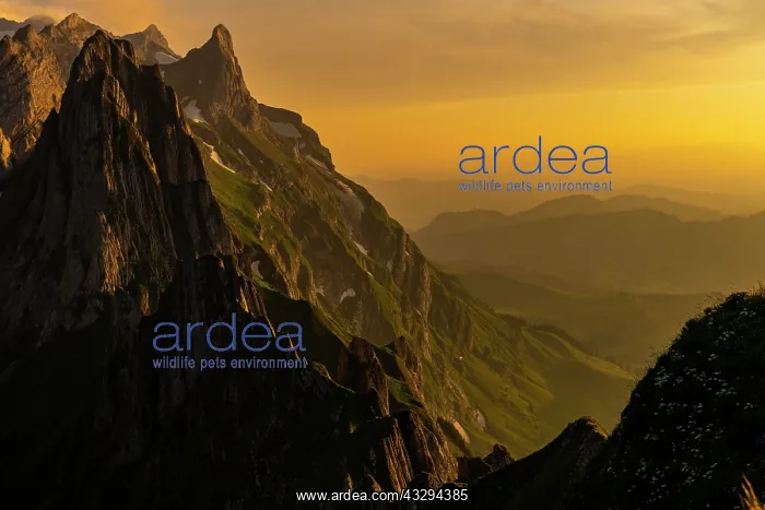 : S&, x4bb4;is massif at sunset, Wasserauen, Appenzell : S&, x4bb4;is massif at sunset, Wasserauen, Appenzell