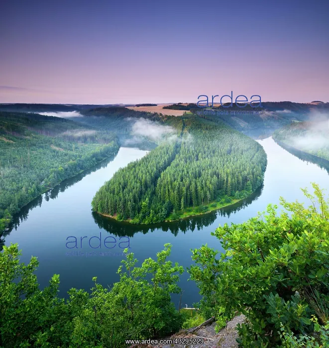 : Saaleschleife, Hohenwarte reservoir, morning atmosphere : Saaleschleife, Hohenwarte reservoir, morning atmosphere