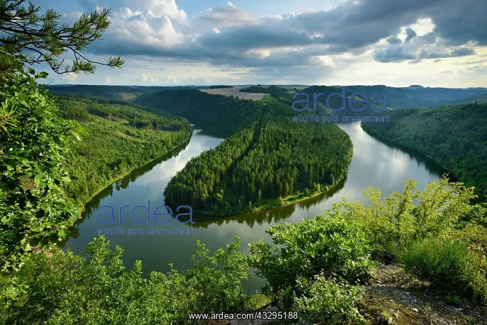 : Saaleschleife, Hohenwarte reservoir, Thuringian : Saaleschleife, Hohenwarte reservoir, Thuringian