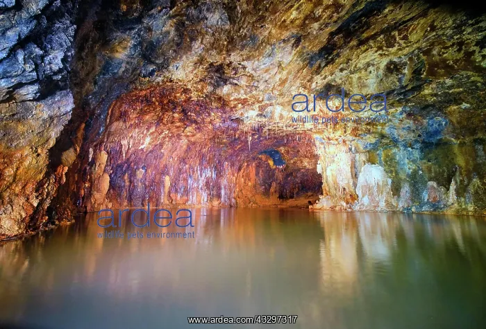 : Saalfeld Fairy Caves Exhibition Mine, interior view : Saalfeld Fairy Caves Exhibition Mine, interior view