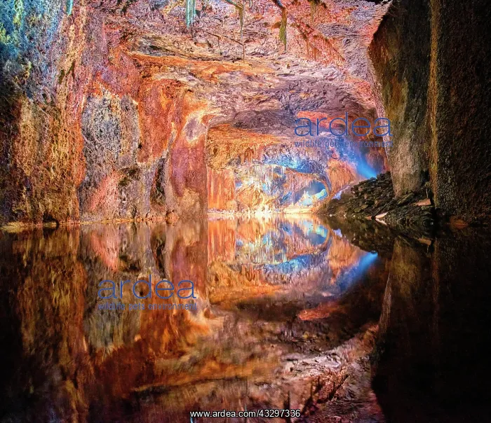 : Saalfeld Fairy Caves Exhibition Mine, interior view : Saalfeld Fairy Caves Exhibition Mine, interior view