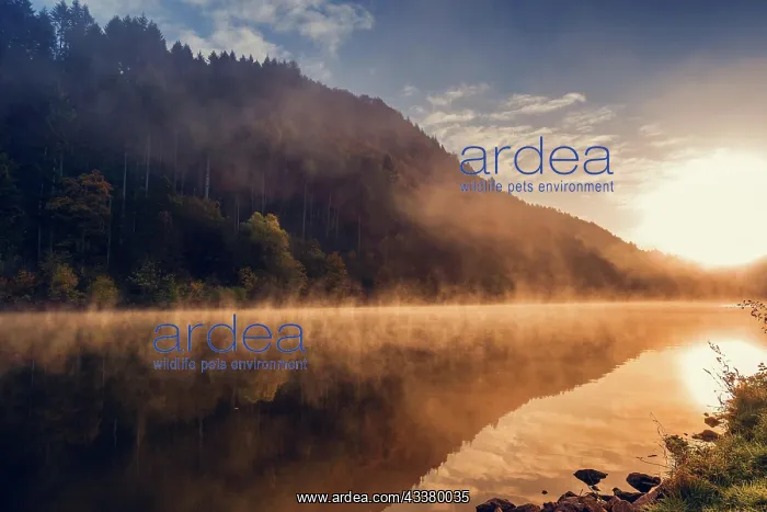 : Saar loop in the fog at sunrise, Germany, Europe : Saar loop in the fog at sunrise, Germany, Europe