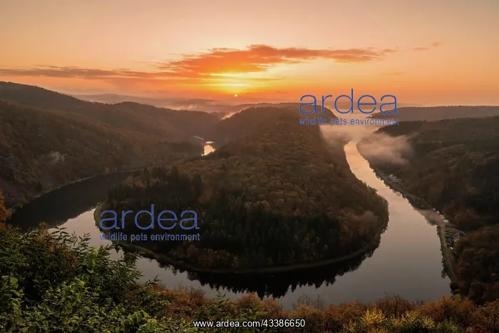 : Saarschleife, Cloef. Great Saar Loop : Saarschleife, Cloef. Great Saar Loop