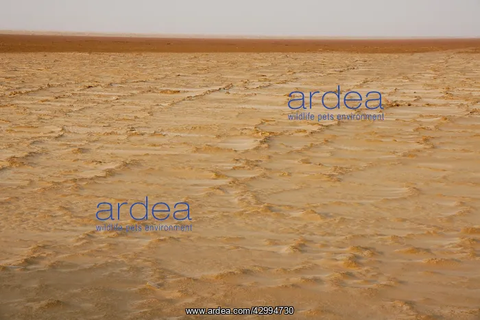 : Sabkha / Salt Plain : Sabkha / Salt Plain