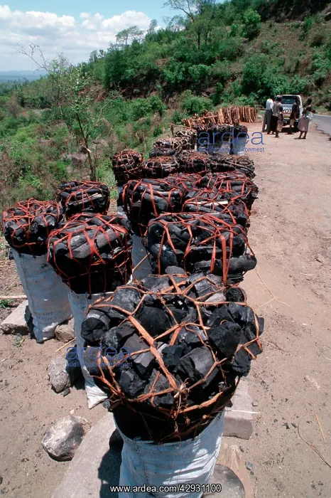 : Sacks of charcoal & fuelwood for sale : Sacks of charcoal & fuelwood for sale