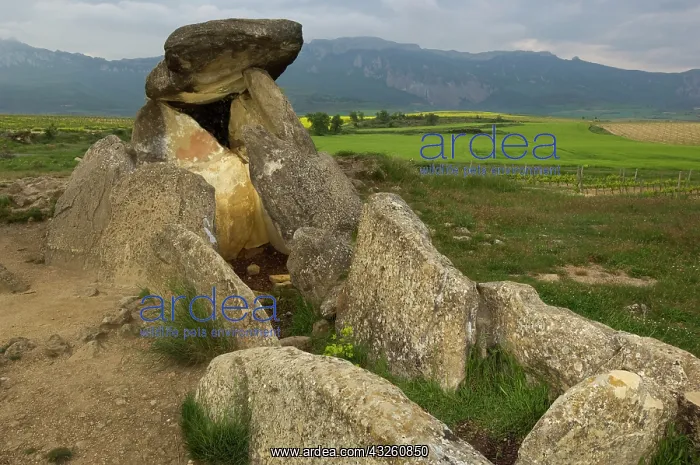 : Sacred burial site near Elvillar village : Sacred burial site near Elvillar village