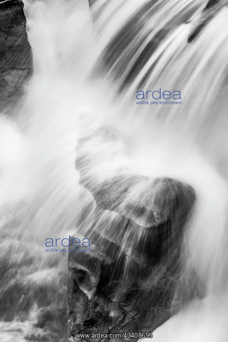: Sacred Dancing Cascade in McDonald Creek in Glacier : Sacred Dancing Cascade in McDonald Creek in Glacier