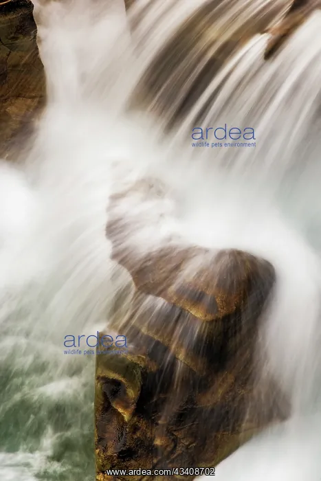 : Sacred Dancing Cascade in McDonald Creek in Glacier : Sacred Dancing Cascade in McDonald Creek in Glacier