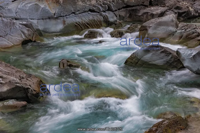 : Sacred Dancing Cascade in McDonald Creek in Glacier : Sacred Dancing Cascade in McDonald Creek in Glacier