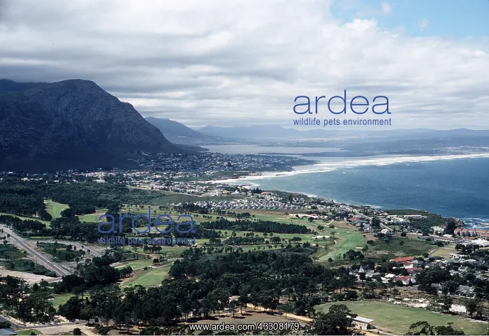 : S.AFRICA - View of Hermanus : S.AFRICA - View of Hermanus