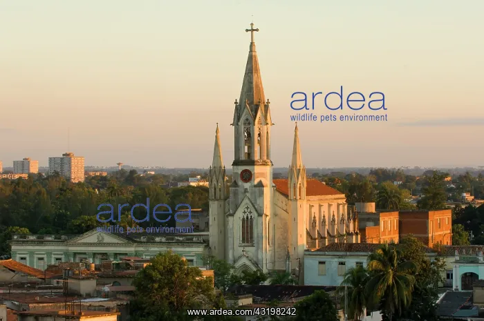 : Sagrada Corazon Iglesia, Church of the Sacred Heart : Sagrada Corazon Iglesia, Church of the Sacred Heart