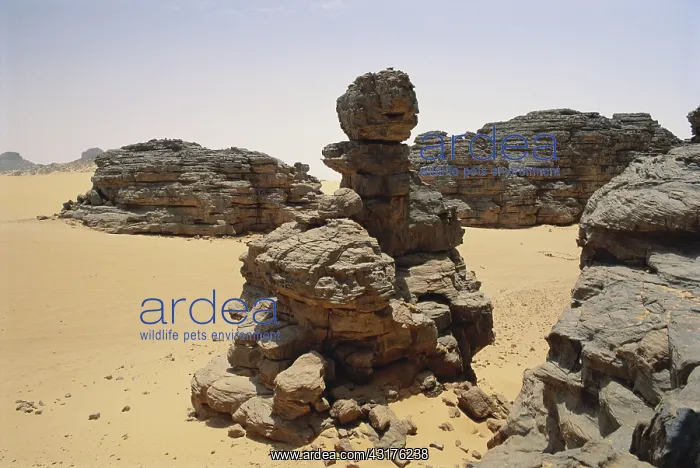 : Sahara Desert, Algeria : Sahara Desert, Algeria