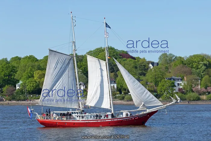 : Sailboat Eldorado, 826th Hamburg Harbour Anniversary : Sailboat Eldorado, 826th Hamburg Harbour Anniversary