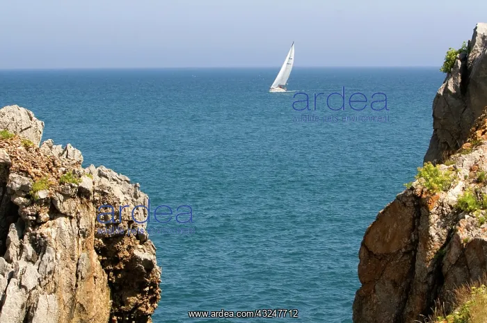  : Sailboat entering the harbor at Castro Urdiales
