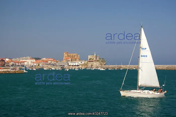 : Sailboat in the harbor at Castro Urdiales : Sailboat in the harbor at Castro Urdiales